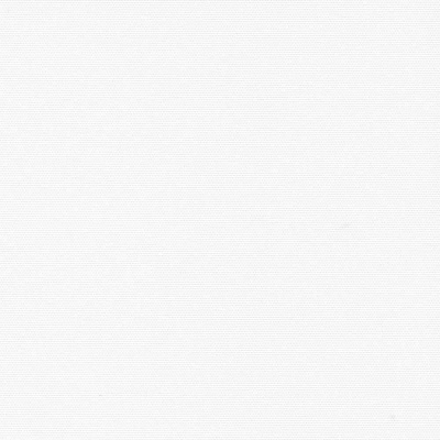 Рулонная штора BENTHIN АЛЬФА ЛАЙТ белый