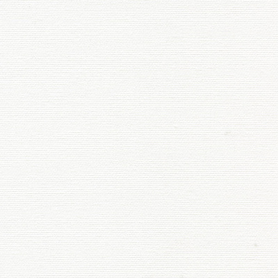 Рулонная штора BENTHIN ОМЕГА белый