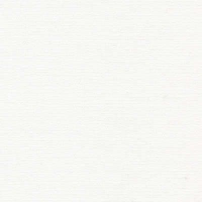 Рулонная штора Стандарт - ОМЕГА BLACK-OUT белый