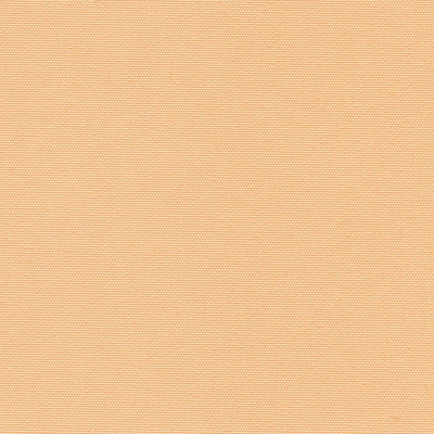 Рулонная штора BENTHIN АЛЬФА персиковый