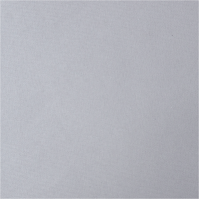 Рулонная штора BENTHIN ПЛЭЙН серый